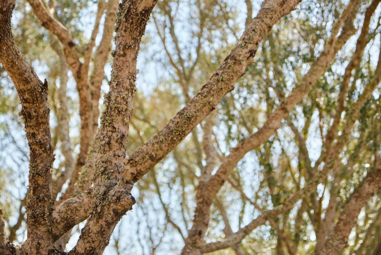 Agroturismo Rafal Rubi Alaior Buitenkant foto